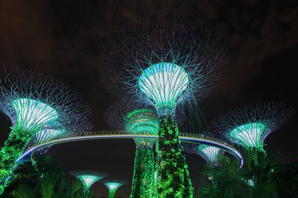 Сади біля затоки вночі, Сінгапур. — стокове фото