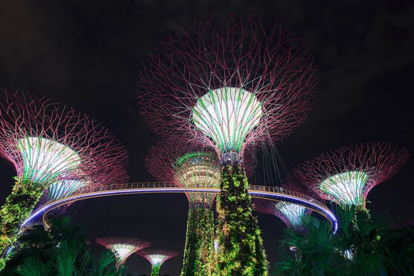 Giardini vicino alla baia di notte, Singapore — Foto Stock