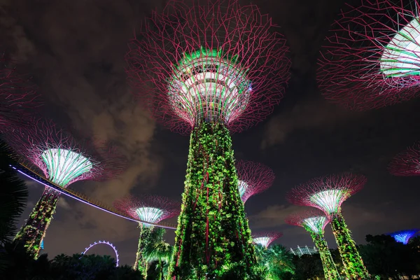 Gärten an der Bucht bei Nacht, Singapur — Stockfoto