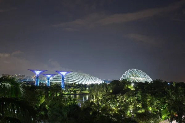 Сади біля затоки вночі, Сінгапур. — стокове фото