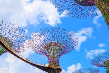 Kimliği belirsiz turist günah koyunda skyway bahçeleri ziyaret