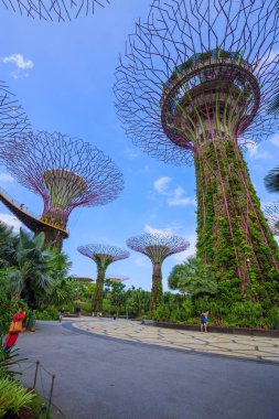 Kimliği belirsiz turist koyunda supertree bahçeleri ziyaret 