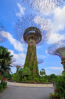 Kimliği belirsiz turist koyunda supertree bahçeleri ziyaret 