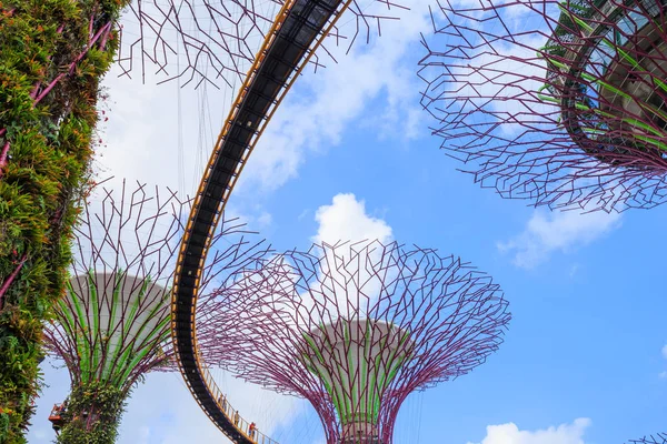 Unidentified tourist visited skyway of gardens by the bay at Sin — Stock Photo, Image