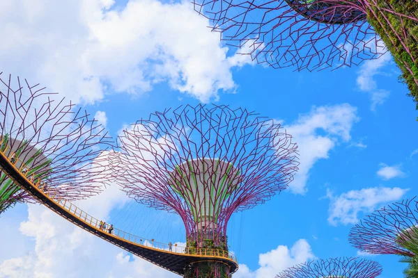 Kimliği belirsiz turist günah koyunda skyway bahçeleri ziyaret