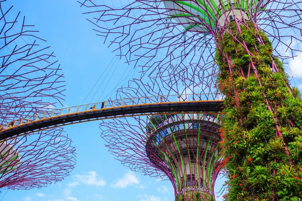 Kimliği belirsiz turist günah koyunda skyway bahçeleri ziyaret