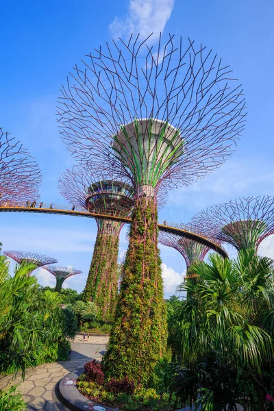 Kimliği belirsiz turist günah koyunda skyway bahçeleri ziyaret