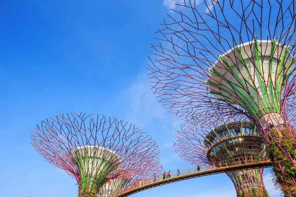 Kimliği belirsiz turist günah koyunda skyway bahçeleri ziyaret