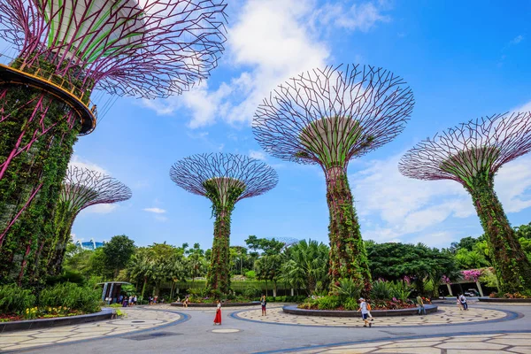 Kimliği belirsiz turist koyunda supertree bahçeleri ziyaret 