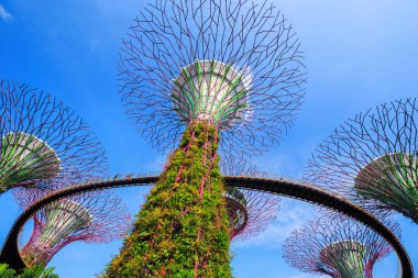 Unidentified tourist visited skyway of gardens by the bay at Sin clipart