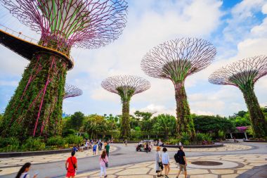 Kimliği belirsiz turist koyunda supertree bahçeleri ziyaret 