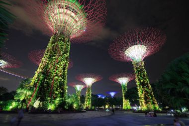 Kimliği belirsiz turist koyunda ışık bahçeleri ziyaret