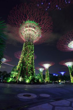 Kimliği belirsiz turist koyunda ışık bahçeleri ziyaret