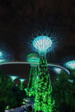 Kimliği belirsiz turist koyunda ışık bahçeleri ziyaret