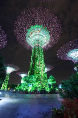 Kimliği belirsiz turist koyunda ışık bahçeleri ziyaret