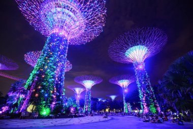 Geceleri, Singa bay bölgesindeki ışık gösterisi bahçeleri turist ziyaret etti