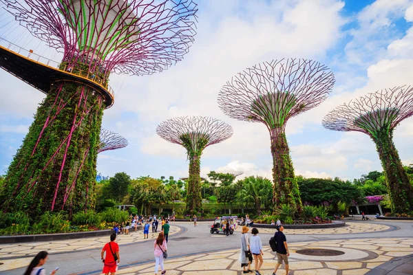 Kimliği belirsiz turist koyunda supertree bahçeleri ziyaret 