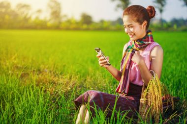 bir akıllı telefon kullanan bir pirinç alanında çiftçi kadın