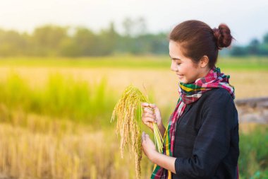 pirinç alanında tutan çiftçi kadın