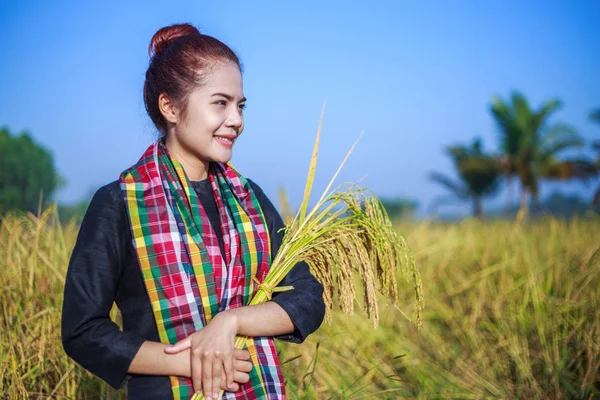 Agricultor mulher segurando arroz no campo — Fotografia de Stock