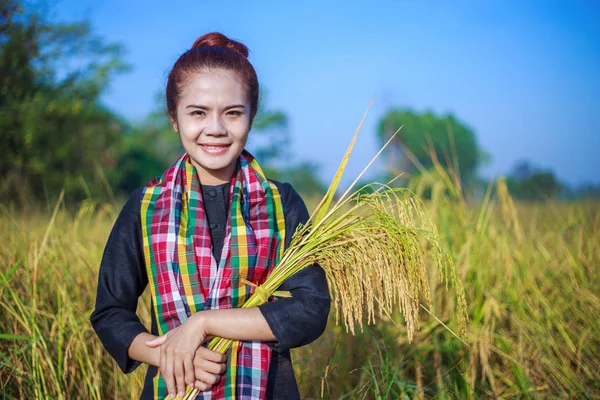 Farmář žena držící rýže v poli — Stock fotografie