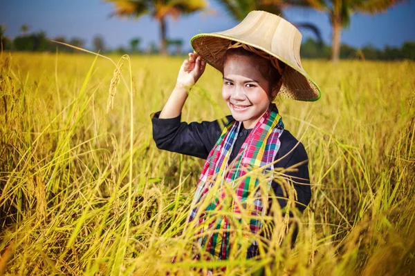 Agricultora en campo de arroz —  Fotos de Stock