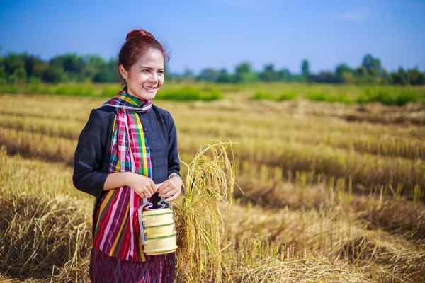 Farmář žena s tiffin dopravcem v rýži — Stock fotografie