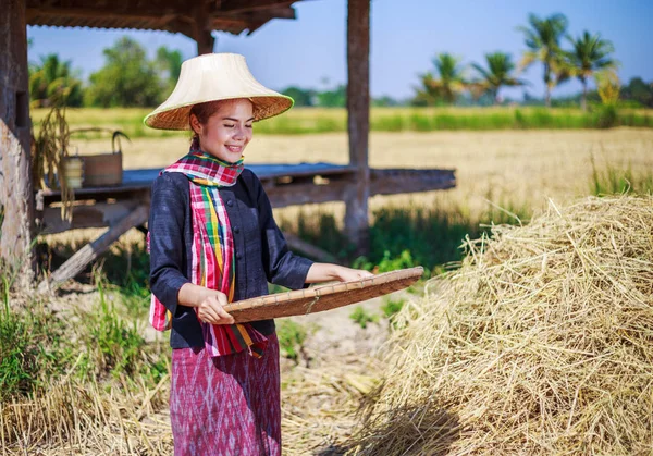 Bäuerin droschte Reis auf Feld — Stockfoto