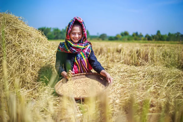 Farmář žena Vytloukal rýže v poli — Stock fotografie