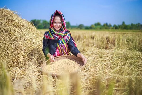 Farmář žena Vytloukal rýže v poli — Stock fotografie