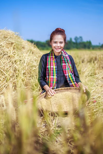 Farmer woman threshed rice in field — Stock Photo, Image
