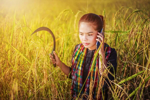 Женщина-фермер звонит по мобильному телефону на рисовом поле — стоковое фото