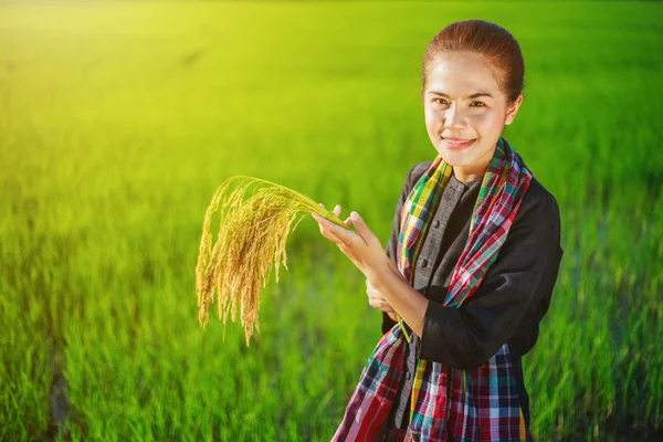 Farmer woman holding rice in field — Stock Photo, Image