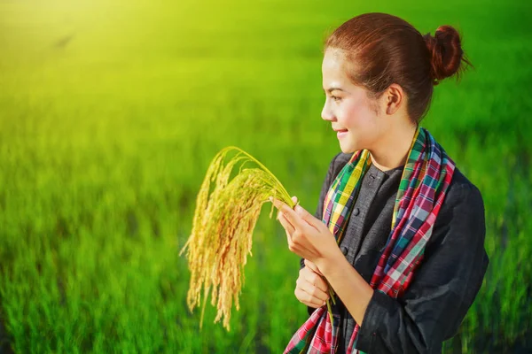 Farmer woman holding rice in field — Stock Photo, Image
