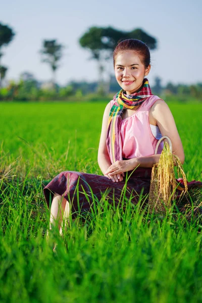 Hermosa campesina sentada en arroz archivado, Tailandia —  Fotos de Stock