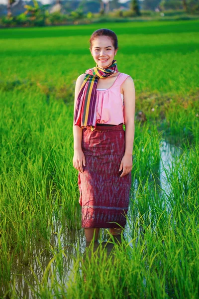Krásný farmář žena v zeleném rýži podané — Stock fotografie