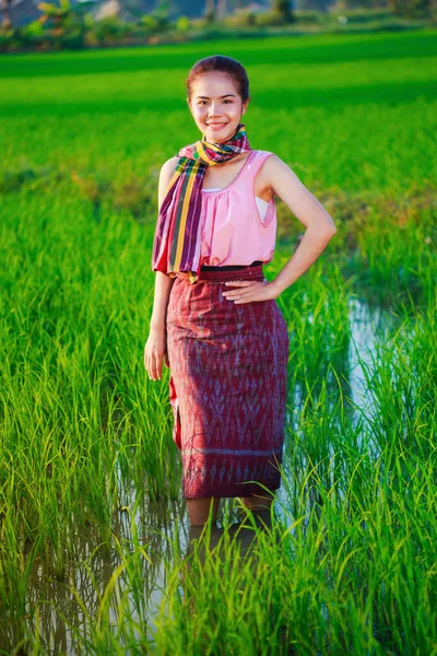 Beautiful farmer woman in green rice filed — Stock Photo, Image