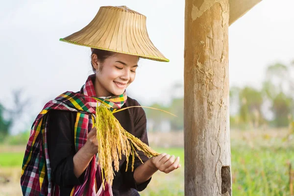 Campesina sosteniendo arroz y sentada en casa de campo en el campo de arroz —  Fotos de Stock