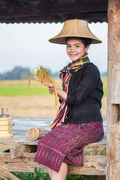 Campesina sosteniendo arroz y sentada en casa de campo en el campo de arroz —  Fotos de Stock