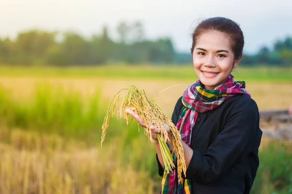 Farmer woman holding rice in field — Stock Photo, Image