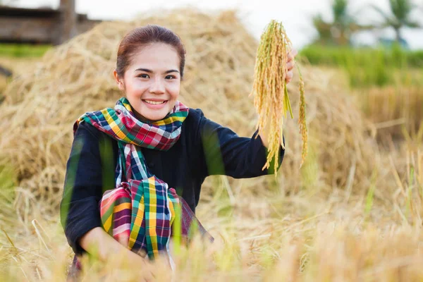 Farmer woman holding a rice with the straw in field — Stock Photo, Image