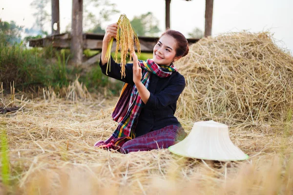 Farmer woman holding a rice with the straw in field — Stock Photo, Image
