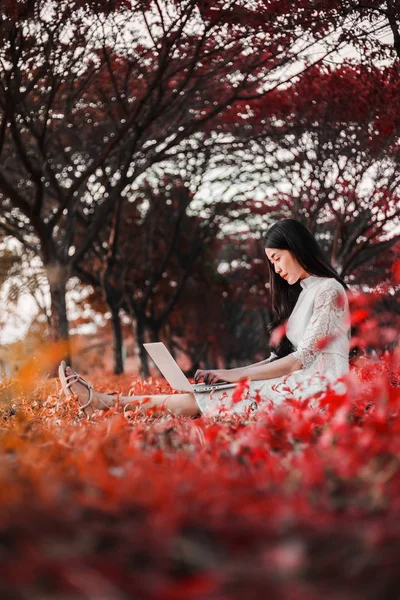 Használ a laptop, a park, a gyönyörű nő — Stock Fotó