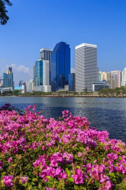 Şehir Manzaralı Benjakitti Park, Bangkok, Tayland