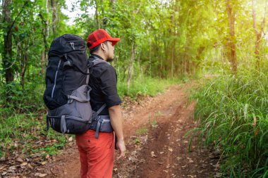 Sırt çantası ve haritasıyla ormanda gezen bir adam.