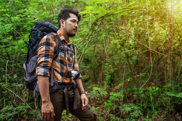 Man traveler with backpack in the forest — Stock Photo, Image