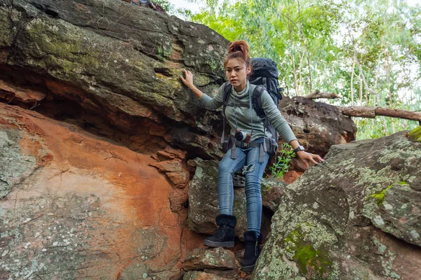 Caminhante mulher subindo para baixo na floresta — Fotografia de Stock