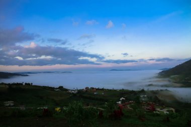 Beyaz sis yemyeşil dağlar kapsar ve tesis