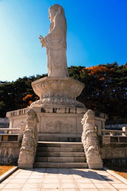 Büyük beyaz ayakta Buda renkli ağaçlar ve mavi gökyüzü 