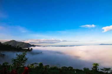 Beyaz sis kışın güzel sabah güneşi Hits